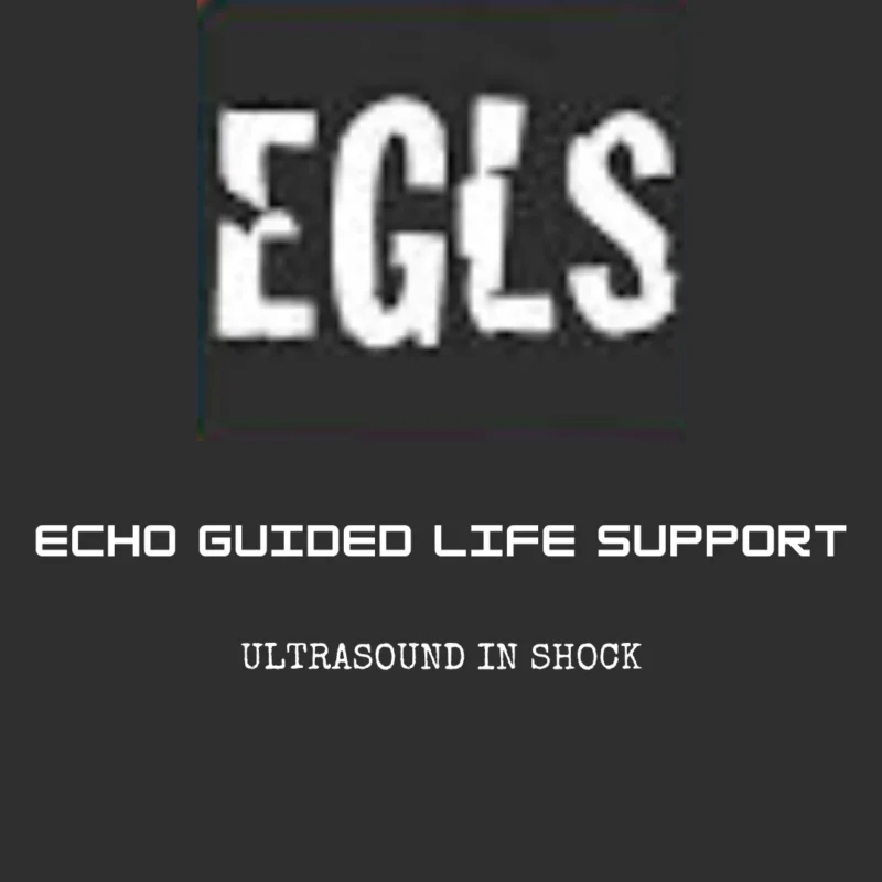 ECHO-Guided Life Support Using ultrasound to categorise shock and guide initial management (CME VIDEOS)